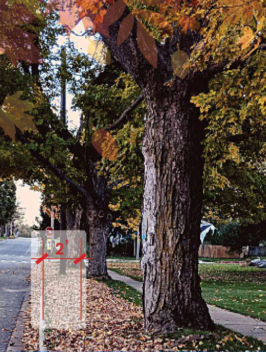 Leaf pickup instructions 